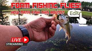 Just Another Boring Pond Fishing Video #gopro mobile #fishing #live