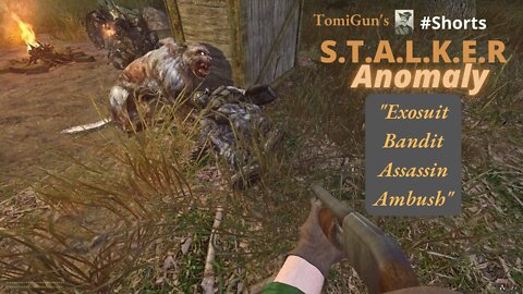 Exosuit Bandit Assassin Ambush (S.T.A.L.K.E.R Anomaly) #Shorts