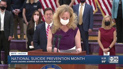 State leaders address suicide prevention plan