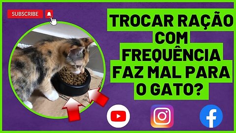 É normal, muitos donos de animais domésticos se perguntam isso: posso trocar a ração do meu gato?