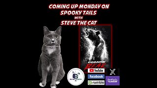 Spooky Tails with Steve the Cat episode 0603