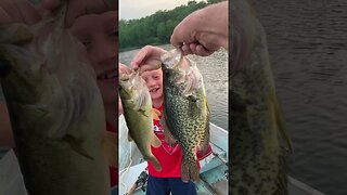 Giant Crappie #fishing #fishingvideo #crappiefishing