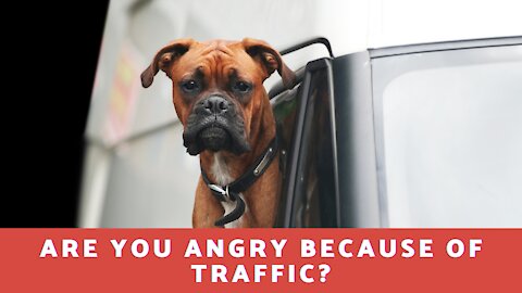 Are You Angry Because Of Traffic!