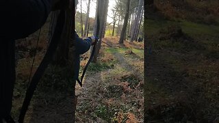 78lbs @ 28” 3D FIELD ARCHERY, BEAR SHOT.