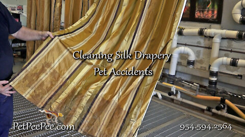 Cleaning Silk Drapery from Pets Accidents | PetPeePee