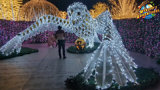 Spectacular Christmas Lights Maze at Enchant in St. Petersburg, Florida (Pt 2)