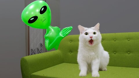 Funny Cats vs Alien