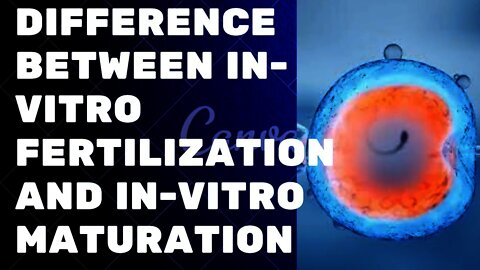 How In-vitro Fertilization and In-vitro Maturation is done{The UNTOLD TRUTH}