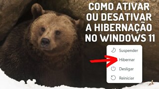 COMO ATIVAR OU DESATIVAR A HIBERNAÇÃO NO WINDOWS 11