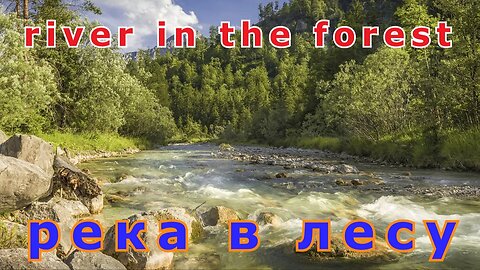 #river in the forest#река в лесу