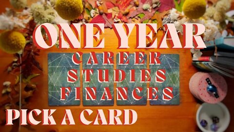 ONE YEAR FROM NOW: Career, Studies, Finances? || Pick a Card Tarot reading (Timeless)