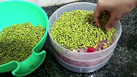How to make Sprouts at home in Sprouts Maker | Sprout Maker Demo | Sprouts maker review and use