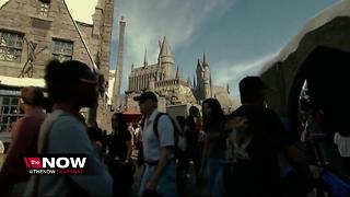 New 'Harry Potter' roller coaster to replace 'Dragon Challenge' at Universal Orlando