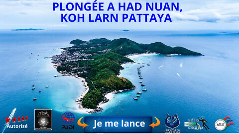 😜#Plongée a Had Nuan, koh larn Pattaya