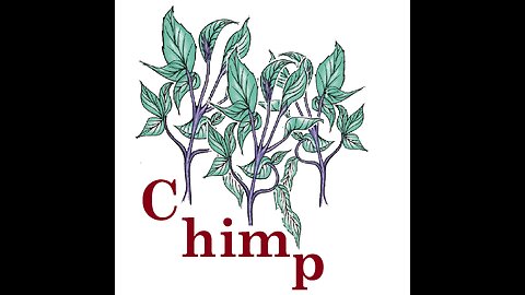 Chimp