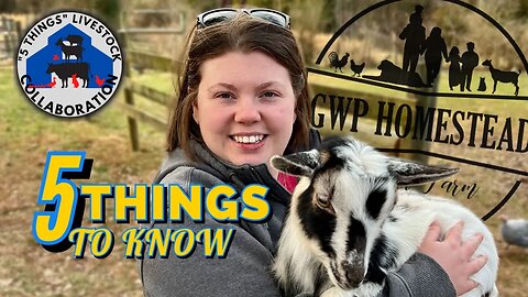 5 Things I Wish I Knew Before I Got GOATS! // Collaboration + GIVEAWAY!
