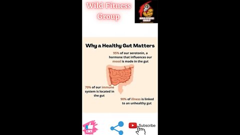 🔥Why a healthy gut matters🔥#fitness🔥#wildfitnessgroup🔥#shorts🔥