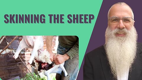 Mishna Pesachim Chapter 5 Mishnah 9. Skinning the sheep