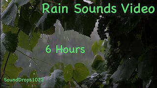 6-Hour Rainstorm: Sleep and Serenity
