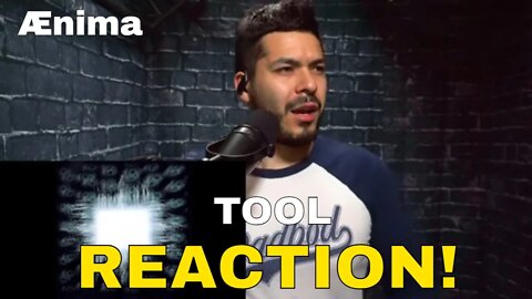 First time listening to Tool Ænima (Reaction!) | Philosophy in Music