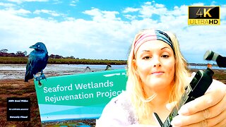 Come Along With Me and Explore the Seaford Wetlands and Woodland Hike Trails
