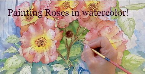 Painting Rose Flowers in watercolor - Wild Roses Woodsii