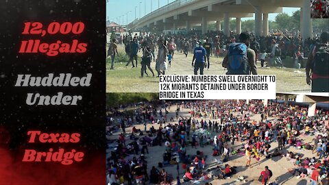 Over 12,000 Illegal Aliens Huddled Under Texas Bridge, Biden Hasn't Sent Back a SINGLE ONE!