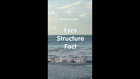 Eyes structure Fact