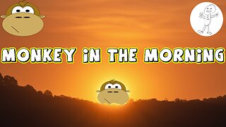 Monkey in the Morning - 11/24/23