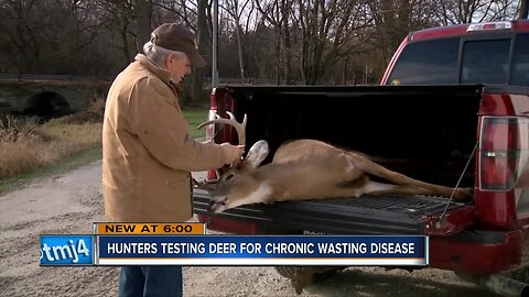 Chronic Wasting Disease testing ramps up during gun deer season
