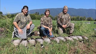 Opening Day Goose Hunt In a Hay Field | 2 GEESE WITH ONE SHOT?!?