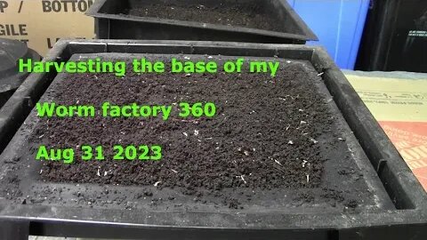 Worm Factory 360 (B) Base castings harvest 31082023