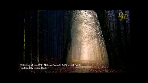 Relaxing Nature Sounds With Soothing Beats