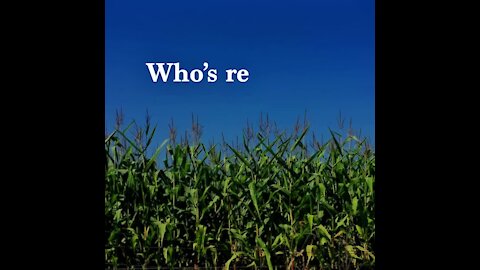 Hay rides and corn mazes [GMG Originals]