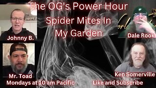 Spider Mites In My Garden