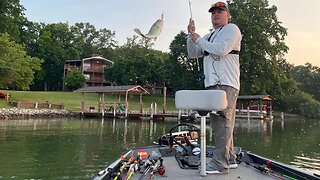 Smith Mountain Lake Bass Fishing