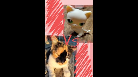 LPS Pets vs Real Pets