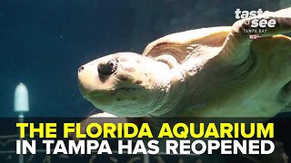The Florida Aquarium | We're Open