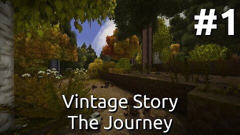 Vintage Story - The Journey 1