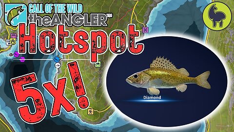 5x Diamond Ruffe HOTSPOT | Call of the Wild The Angler (PS5 4K)