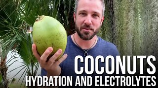 Harvesting Green Coconuts for Hydration and Electrolytes