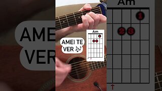 #ElvisBarzotto - Amei Te Ver