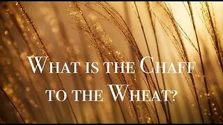 What is the Chaff to the Wheat