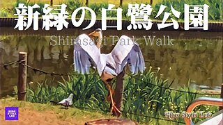 新緑の白鷺公園を歩く。Shirasagi Park Walk ＃緑の風、＃白鷺、＃公園巡り