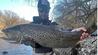 Brown Trout Smack Down Part 1 / Epic Lake Run Brown Trout Fishing / Float Fishing For Trout w/ Beads