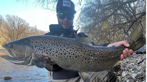Brown Trout Smack Down Part 1 / Epic Lake Run Brown Trout Fishing / Float Fishing For Trout w/ Beads
