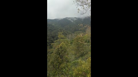 Sangat tenang mndengar kicau burung termerdu