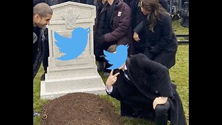 Elon Musk Twitter death meme, Kari Lake update & Roger Stone....