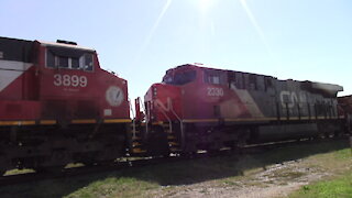 Eastbound Manifest Train In Ontario CN 3805, CN 3899 & CN 2330 Locomotives Sept 19 2021