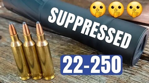 Suppressed 22-250 [Does a Can affect Accuracy and Point of Impact???] CVA Cascade + Banish 30 Gold